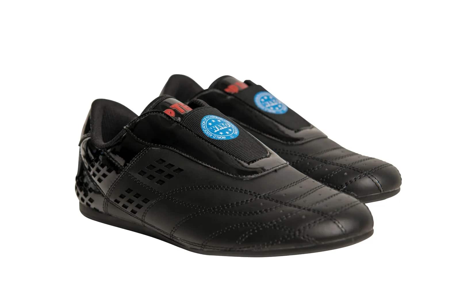 Kampsportsko “WAKO”