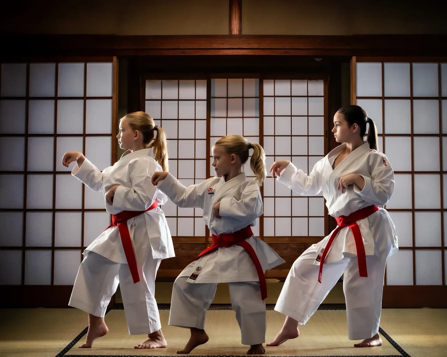 Tre karateutøvere i HAYASHI-drakter i dojo. Originalfoto fra HAYASHI og Budoland.